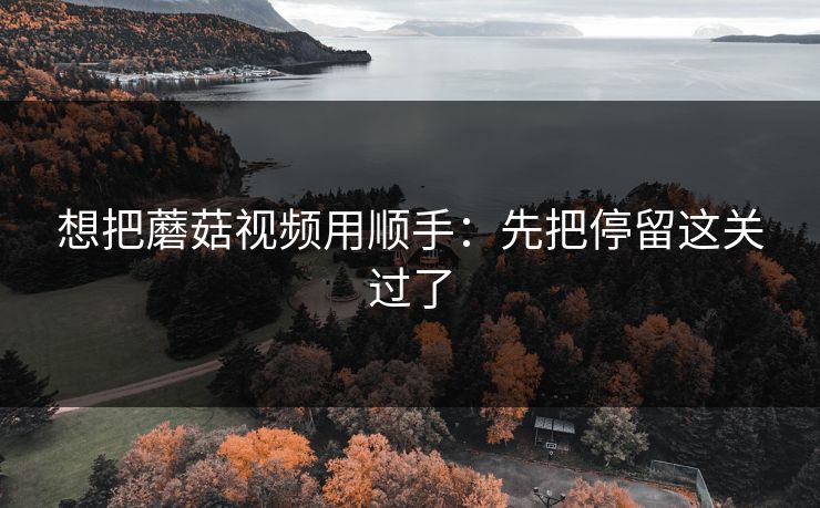 想把蘑菇视频用顺手：先把停留这关过了