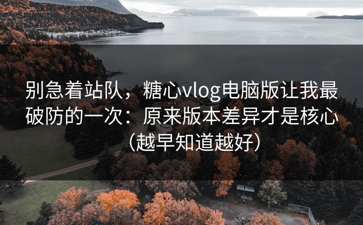 别急着站队，糖心vlog电脑版让我最破防的一次：原来版本差异才是核心（越早知道越好）