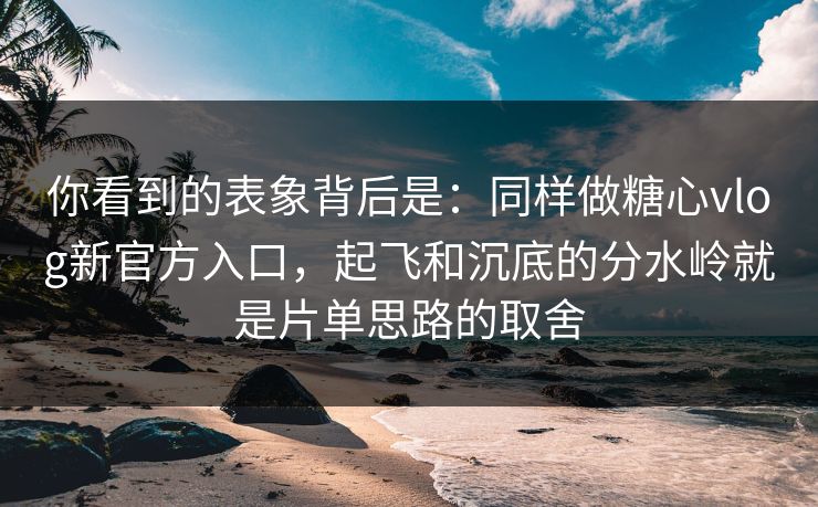 你看到的表象背后是：同样做糖心vlog新官方入口，起飞和沉底的分水岭就是片单思路的取舍